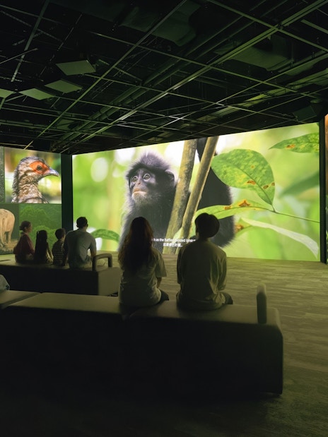 Visitors watching wildlife visuals at Curiosity Cove's audio-visual screening.