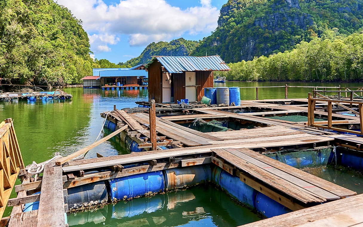 Floating fish farm at Kilim Geoforest Park, Langkawi, surrounded by lush mangroves.
