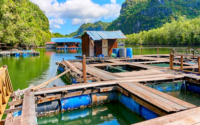 Floating fish farm at Kilim Geoforest Park, Langkawi, surrounded by lush mangroves.