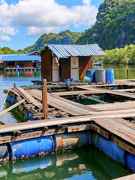 Floating fish farm at Kilim Geoforest Park, Langkawi, surrounded by lush mangroves.
