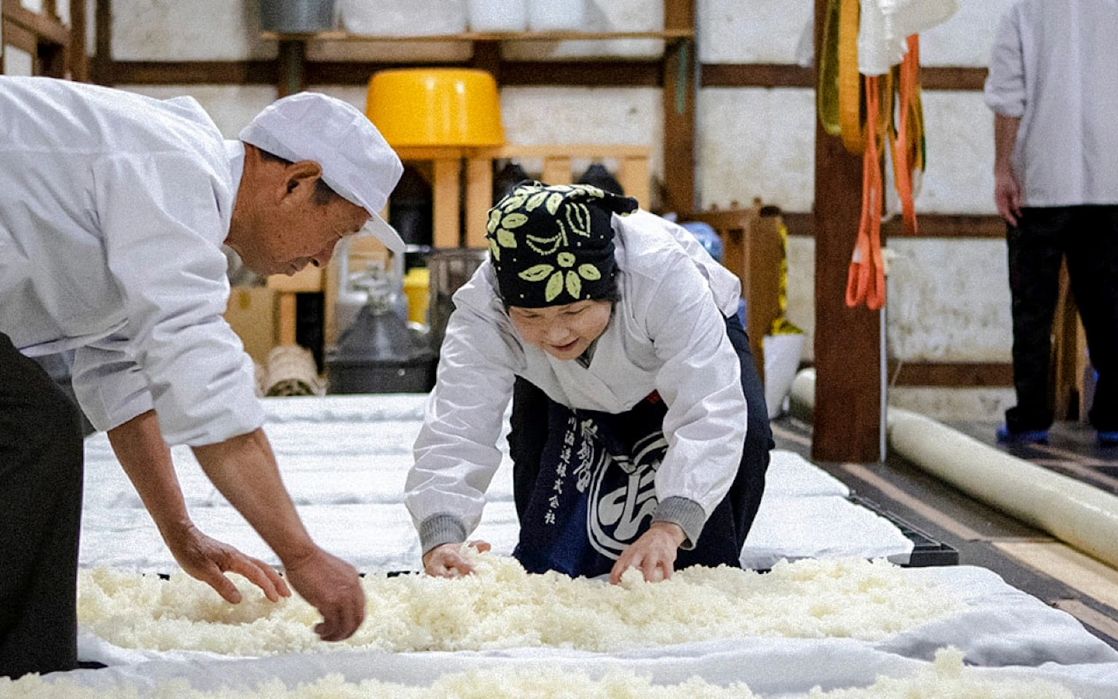 Nagaoka: Hasegawa Sake Brewery Guided Tour and Tasting Image 2