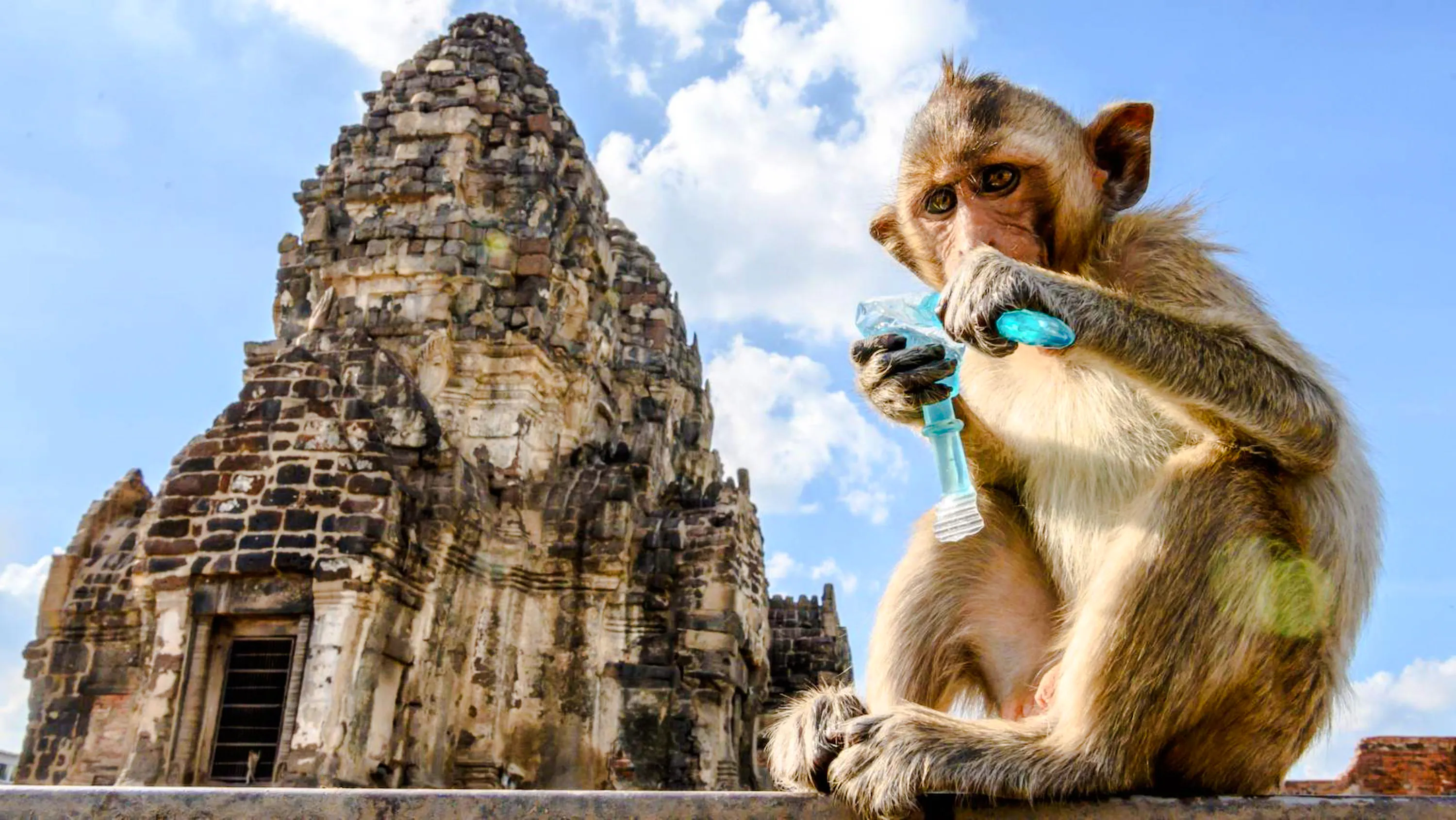 ab bangkok: privater tagesausflug zum historischen park von ayutthaya und zum affentempel von lopburi-7