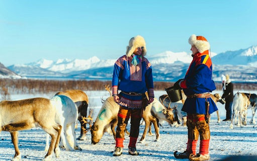 au départ de tromsø : visite de l'élevage de rennes et de la culture sami avec déjeuner-3