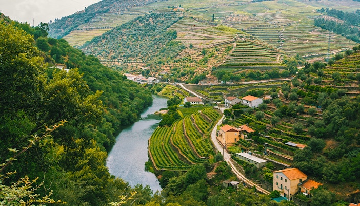 Vineyards on hills overlooking a river in Douro Valley, Portugal.