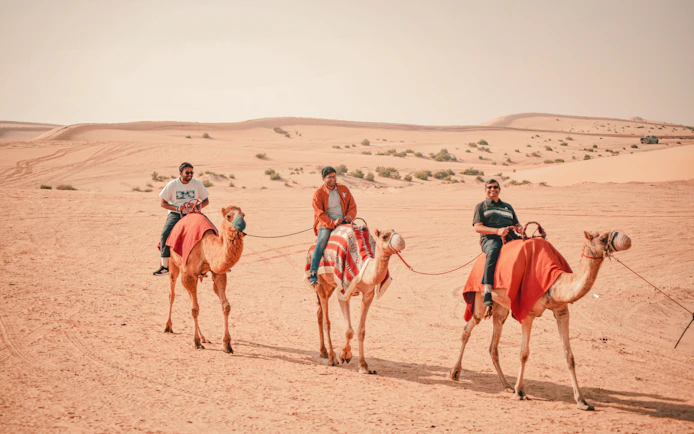 Dubai Morning Desert Safari with Dune Bashing, Sandboarding and Camel Ride