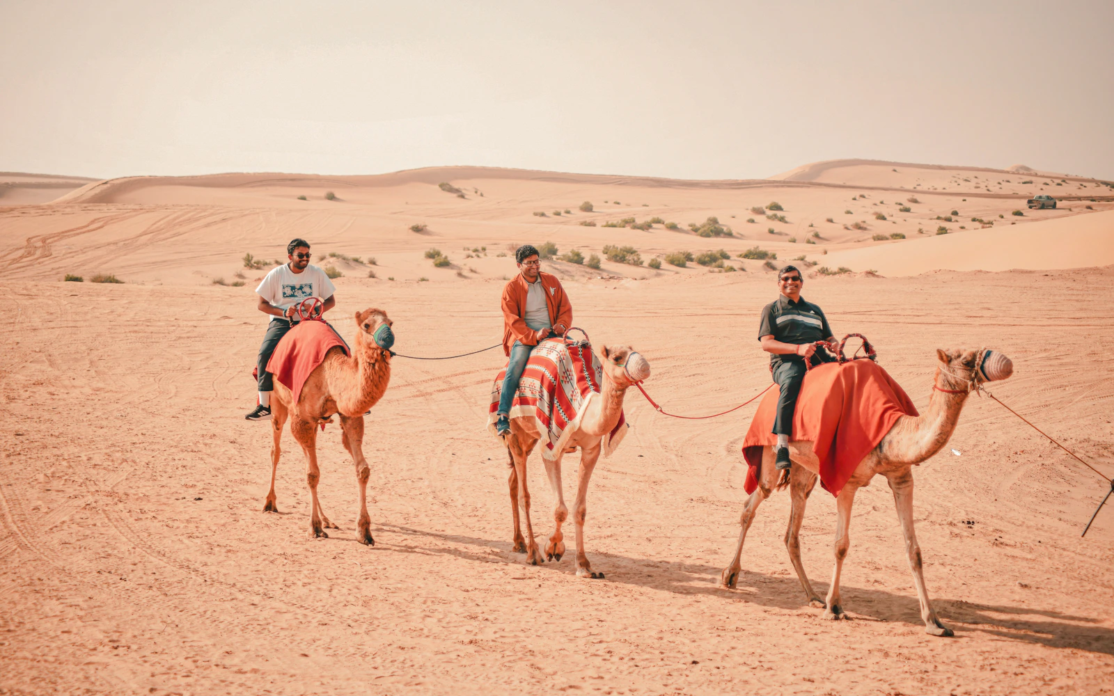 Dubai Morning Desert Safari with Dune Bashing, Sandboarding and Camel Ride Image 3