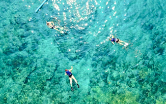 Snorkelers in clear waters near Ile aux Cerfs during catamaran tour from Pointe Jerome.