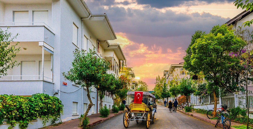 Discover Istanbul's Art and Culture