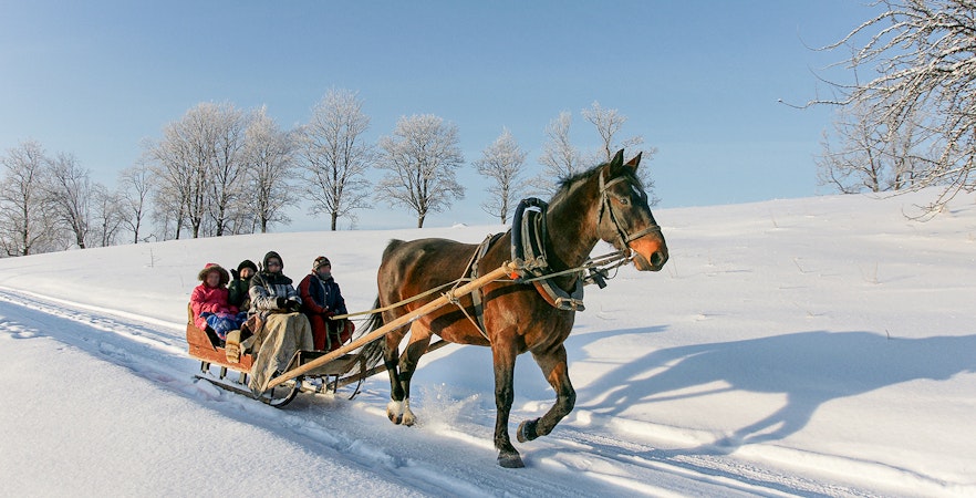 sledding zakopane