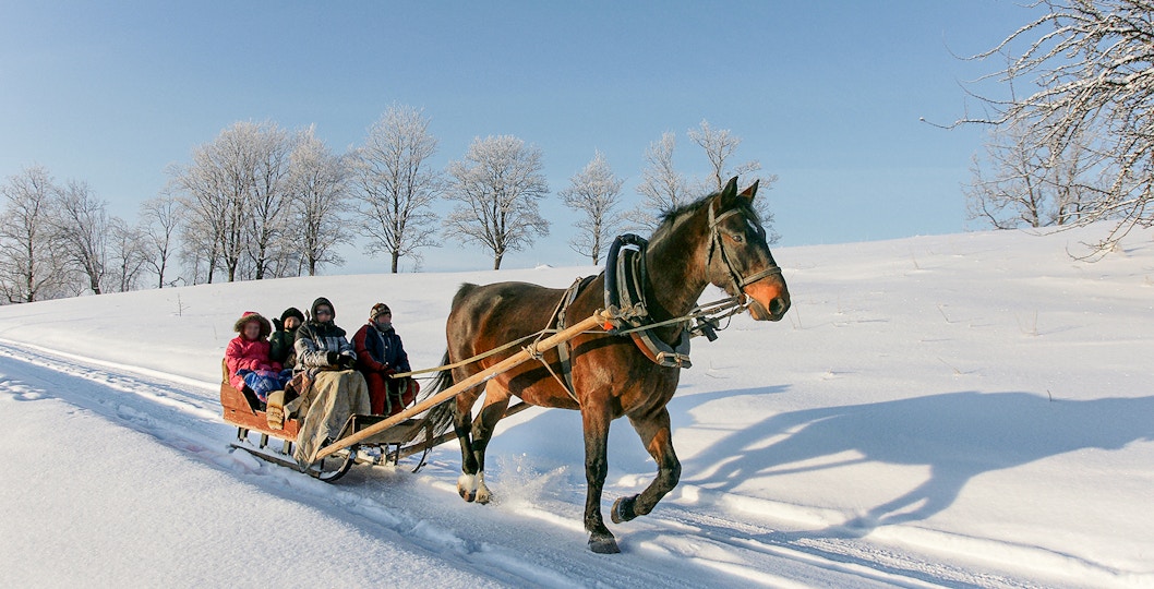 sledding zakopane