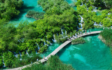 Visitors walking on a wooden path over turquoise lakes in Plitvice Lakes National Park, Croatia.
