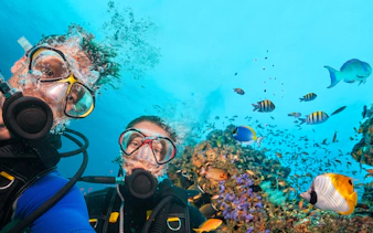 Scuba divers exploring vibrant coral reefs and colorful fish in the Red Sea, Hurghada.