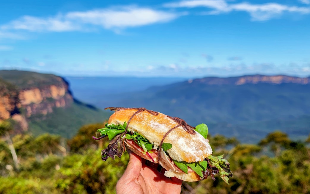 Hand holding a sandwich with Blue Mountains view in the background during a day tour picnic.