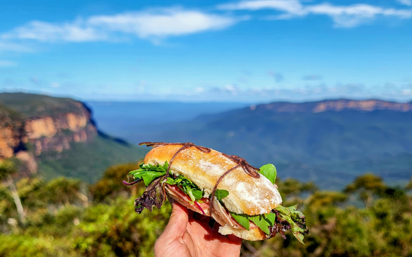 Blue Mountains Day Tours