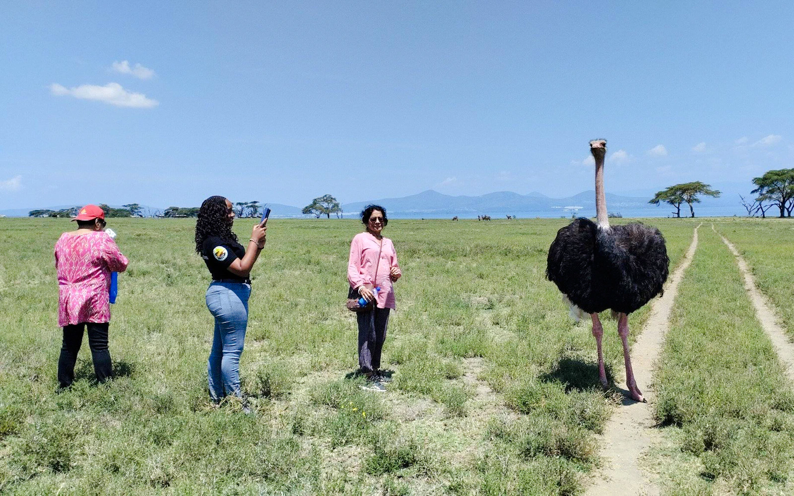 Kenya 15-Day Small-Group Safari: Maasai Mara, Amboseli, Samburu (Product 54018)