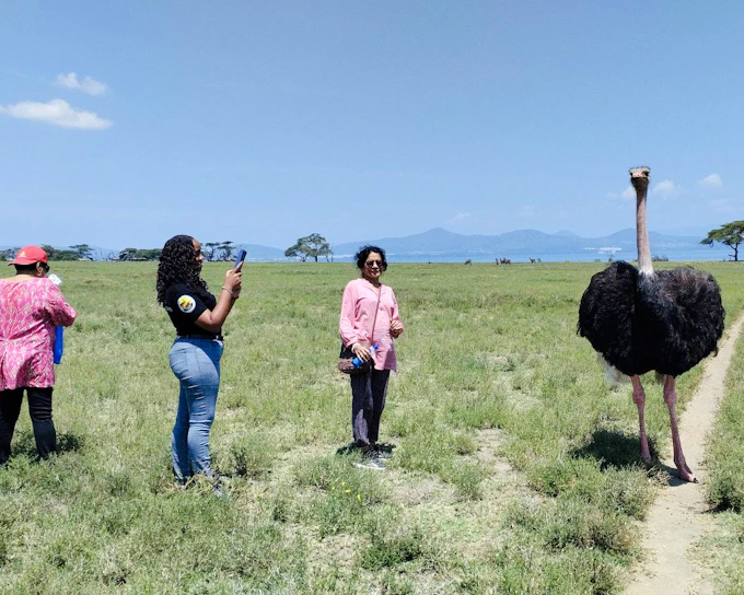 Kenya 15-Day Small-Group Safari: Maasai Mara, Amboseli, Samburu (Product 54018)