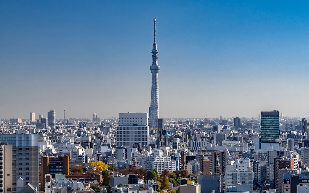 Tokyo Skytree towering over cityscape, part of Samurai Ninja Museum and Skytree combo tour.