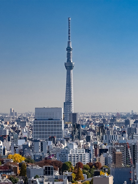 Tokyo Skytree towering over cityscape, part of Samurai Ninja Museum and Skytree combo tour.