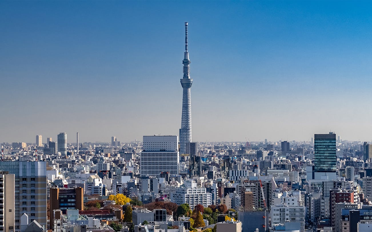 Tokyo Skytree towering over cityscape, part of Samurai Ninja Museum and Skytree combo tour.