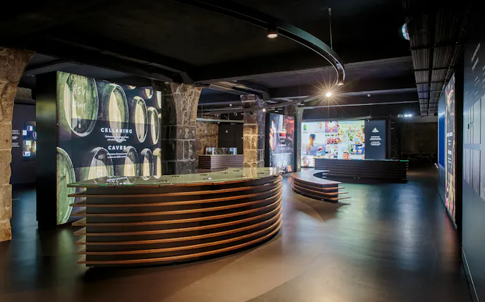 visita guiada a las bodegas de cálem y degustación de vinos de oporto-1
