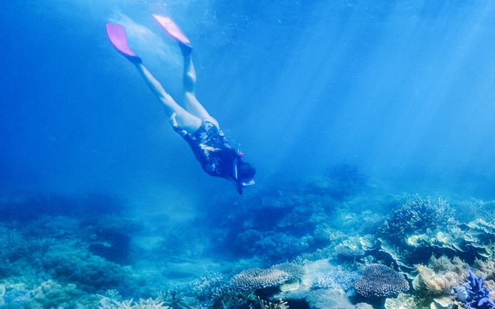 Snorkeler exploring coral reef at Fitzroy Island, Australia.