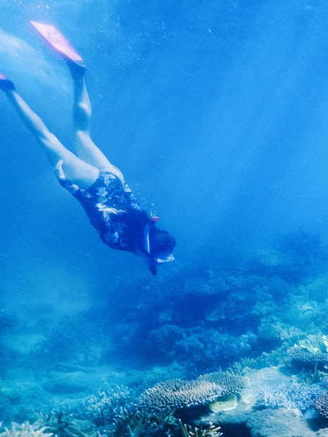 Snorkeler exploring coral reef at Fitzroy Island, Australia.