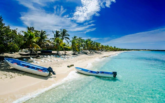 Boats on the sandy shore of Saona Island beach with palm trees and clear blue water.