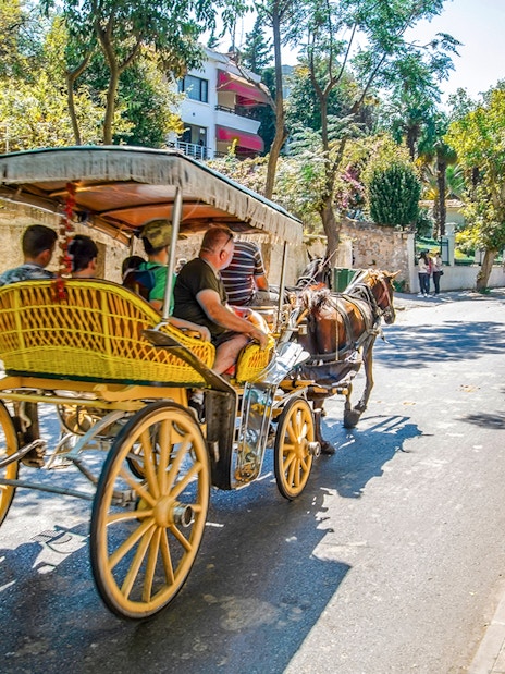 Horse carriage on a tree-lined street in Buyukada, Princes Islands, Istanbul.