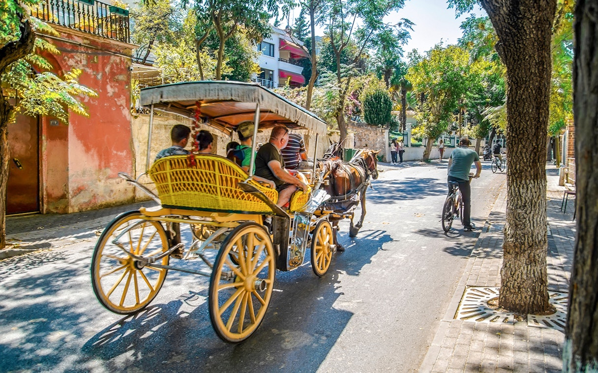 Horse carriage on a tree-lined street in Buyukada, Princes Islands, Istanbul.