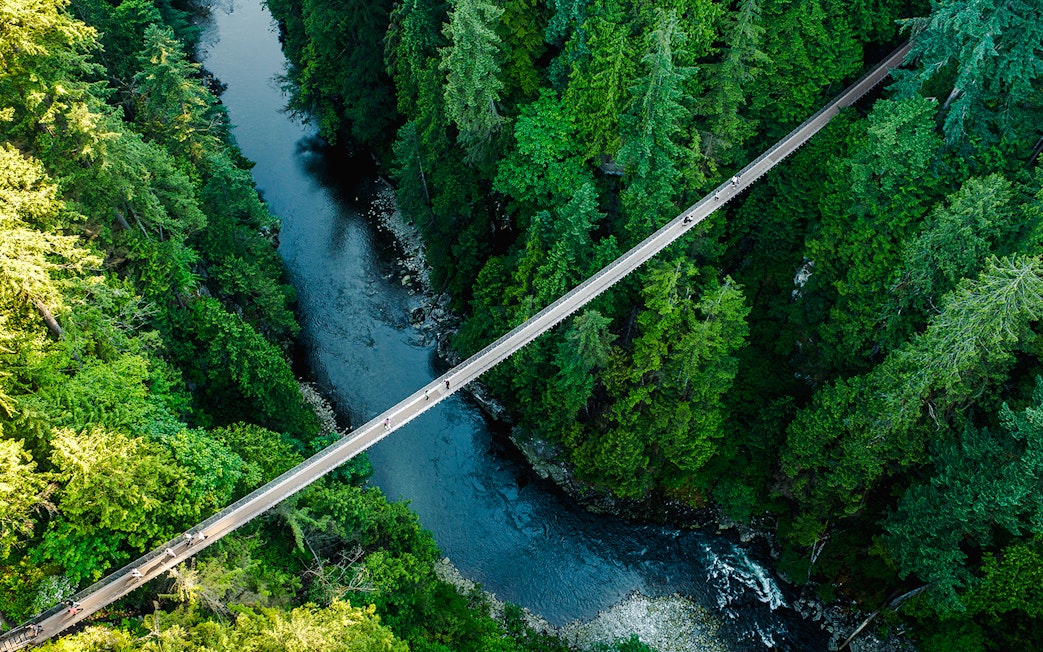 Capilano Suspension Bridge over forested canyon in Capilano Suspension Bridge Park, Vancouver.