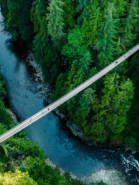 Capilano Suspension Bridge over forested canyon in Capilano Suspension Bridge Park, Vancouver.