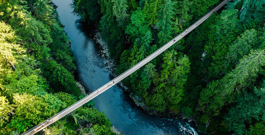 Capilano Suspension Bridge over forested canyon in Capilano Suspension Bridge Park, Vancouver.