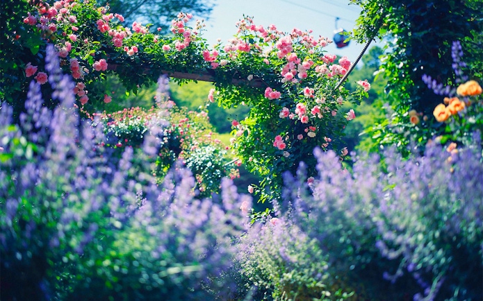 Kobe Nunobiki Herb Gardens with blooming flowers and ropeway in the background.