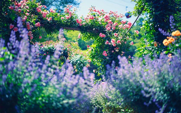 Kobe Nunobiki Herb Gardens with blooming flowers and ropeway in the background.