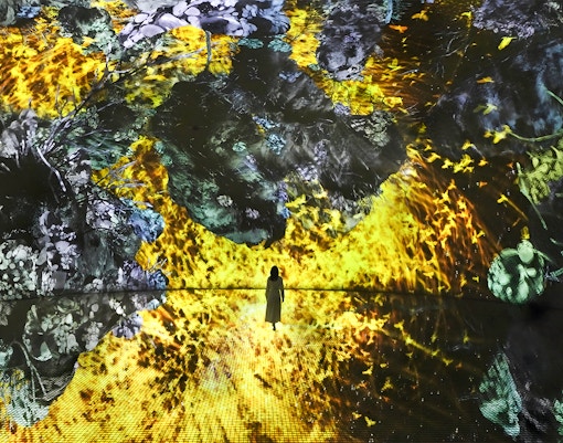 TeamLab Phenomena Abu Dhabi