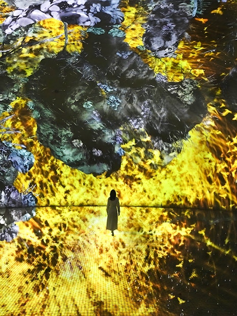 Immersive digital art display at TeamLab Phenomena Abu Dhabi with vibrant colors and abstract patterns.