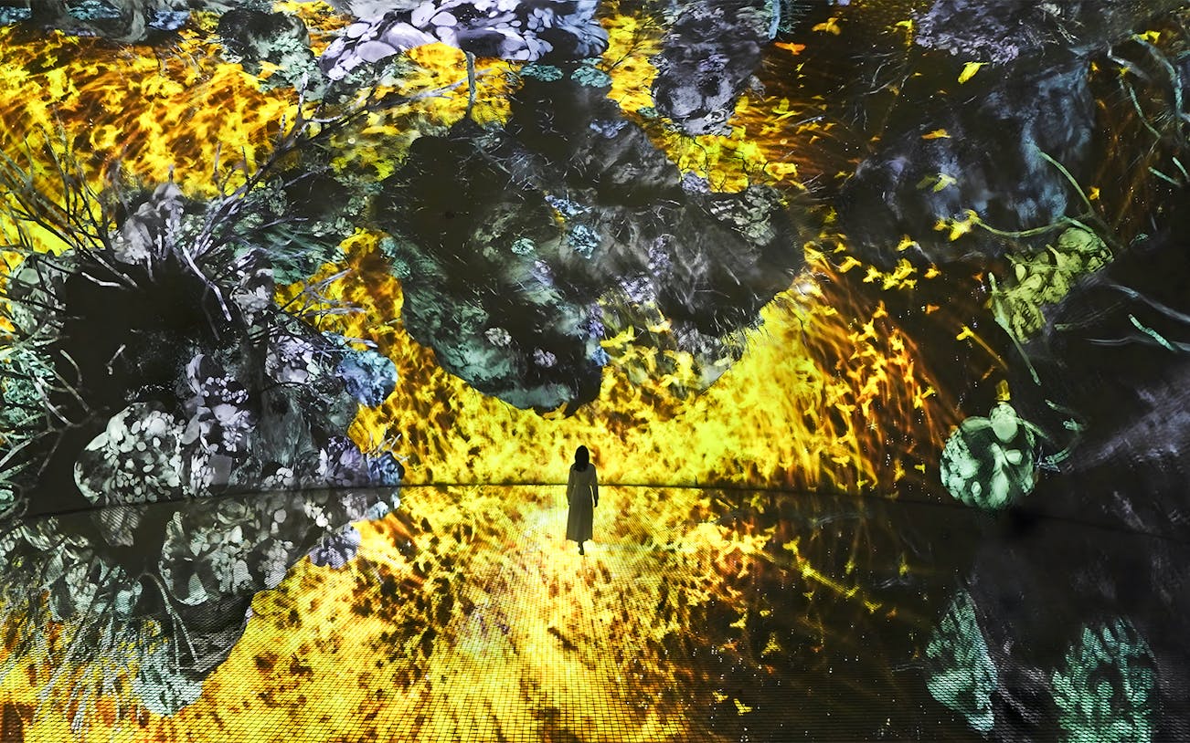 Immersive digital art display at TeamLab Phenomena Abu Dhabi with vibrant colors and abstract patterns.