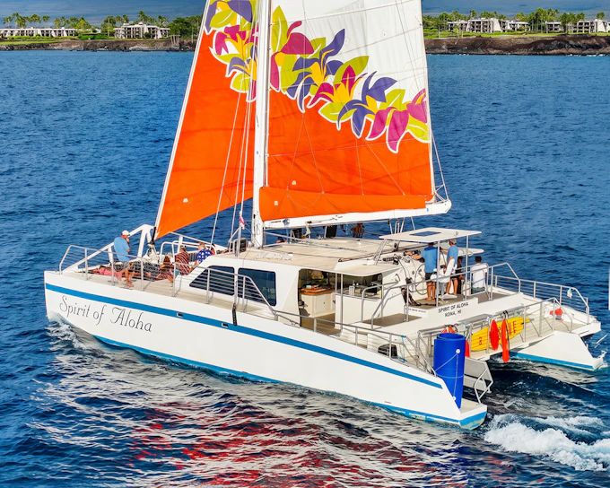 Waikoloa Turtle Snorkeling by Sailing Catamaran (Product 52769)