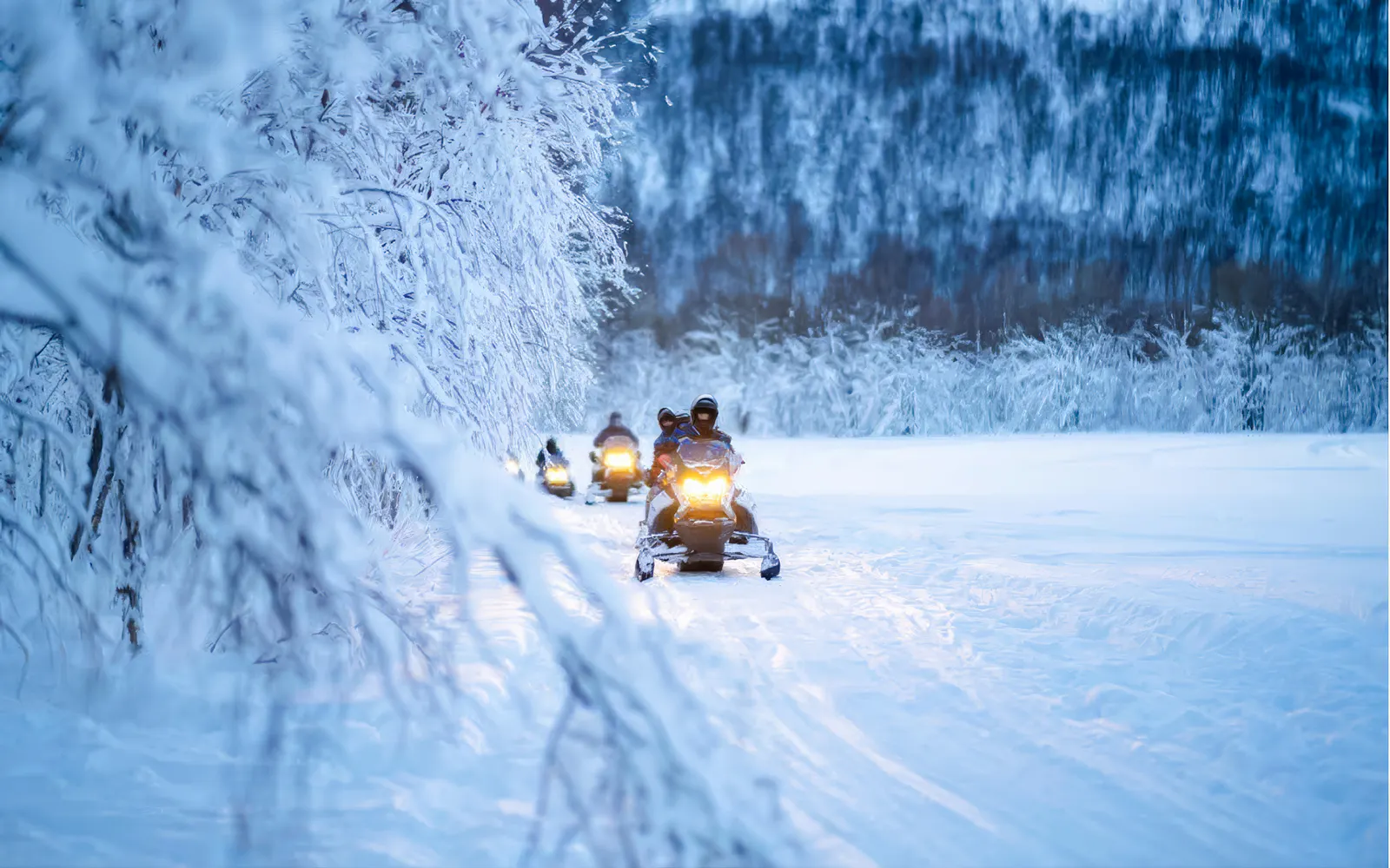 Snowmobiles on a snowy trail through a forest near Tromso.