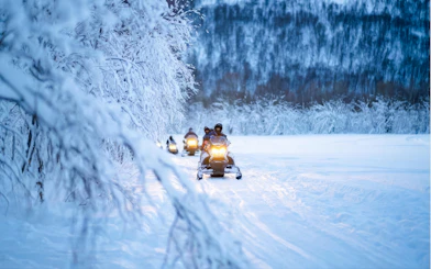 Snowmobiles on a snowy trail through a forest near Tromso.
