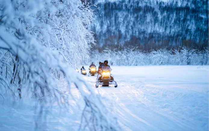 Snowmobiles on a snowy trail through a forest near Tromso.