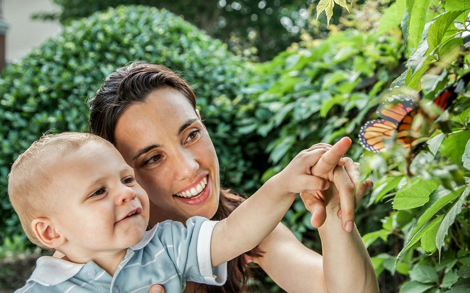 Child and adult pointing at butterfly in Australian Butterfly Sanctuary aviary.