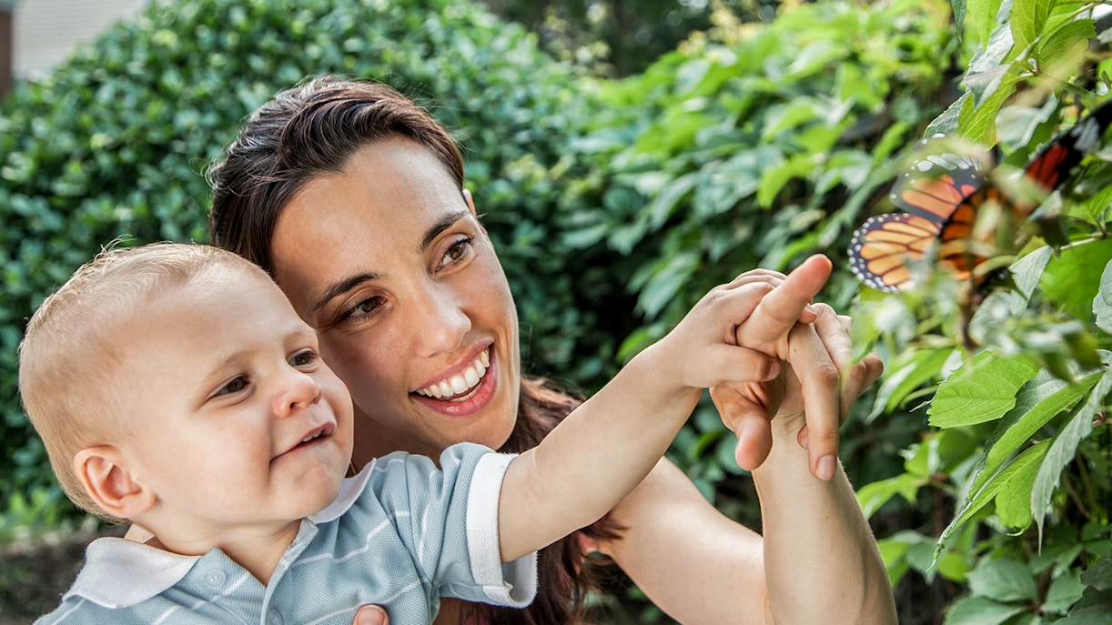 A family with Butterflies at Butterfly Garden Abu Dhabi