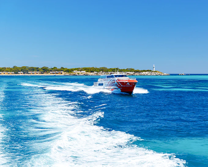 From Fremantle: Rottnest Island Return Ferry with Bike or Bus Tour Options
