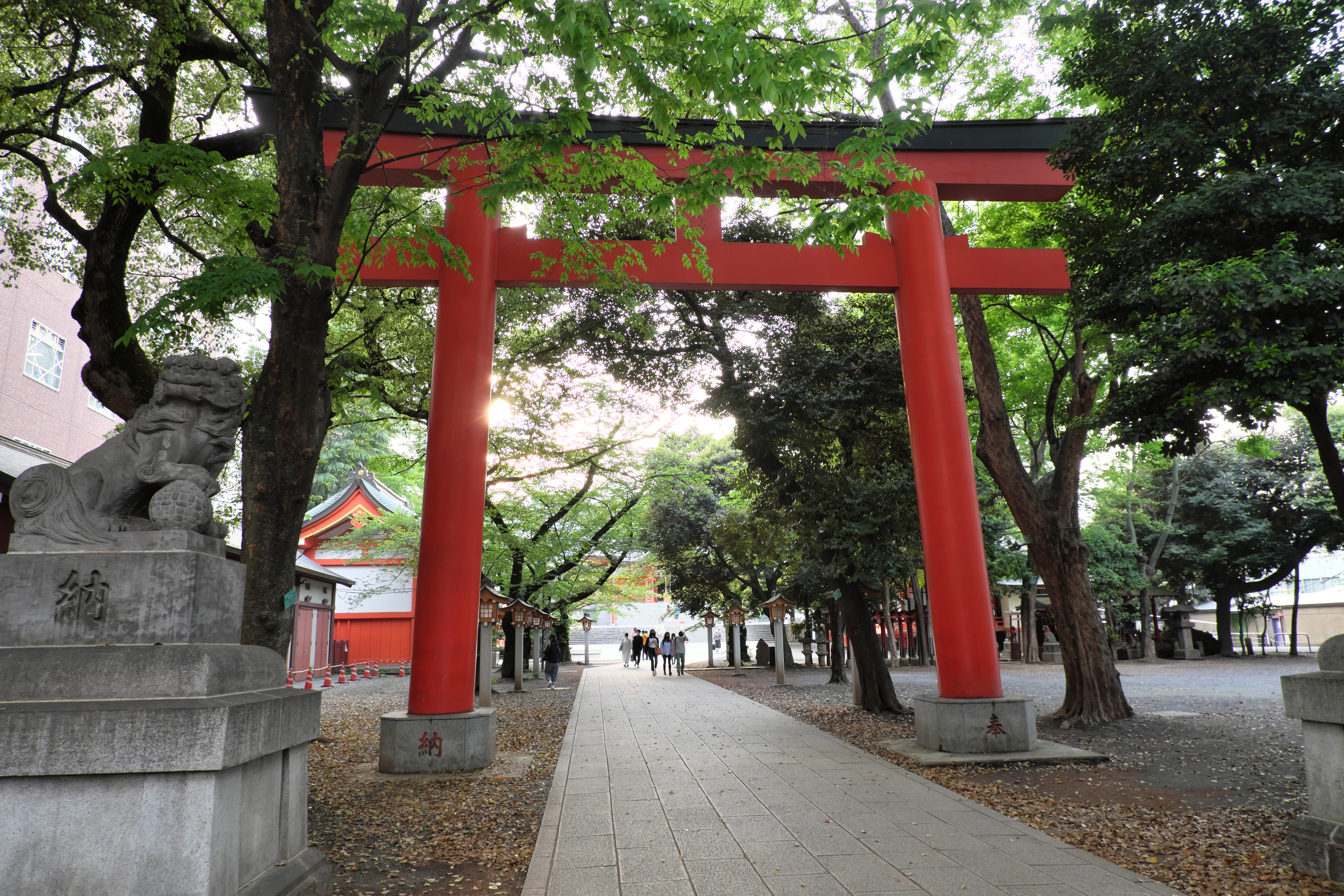 Torii gate at Hanazono Jinjya Shrine, Shinjuku, Tokyo, with stone guardian statue.