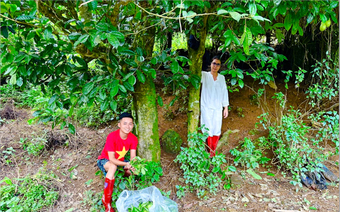 Hanoi: Vietnamese Tea Tasting & Brewing Class with Train Street Viewing