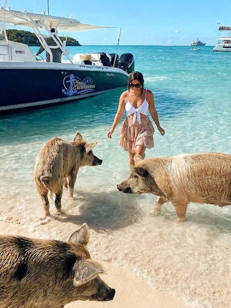 Swimming with pigs on a beach in Exuma, Bahamas, with boats in the background.