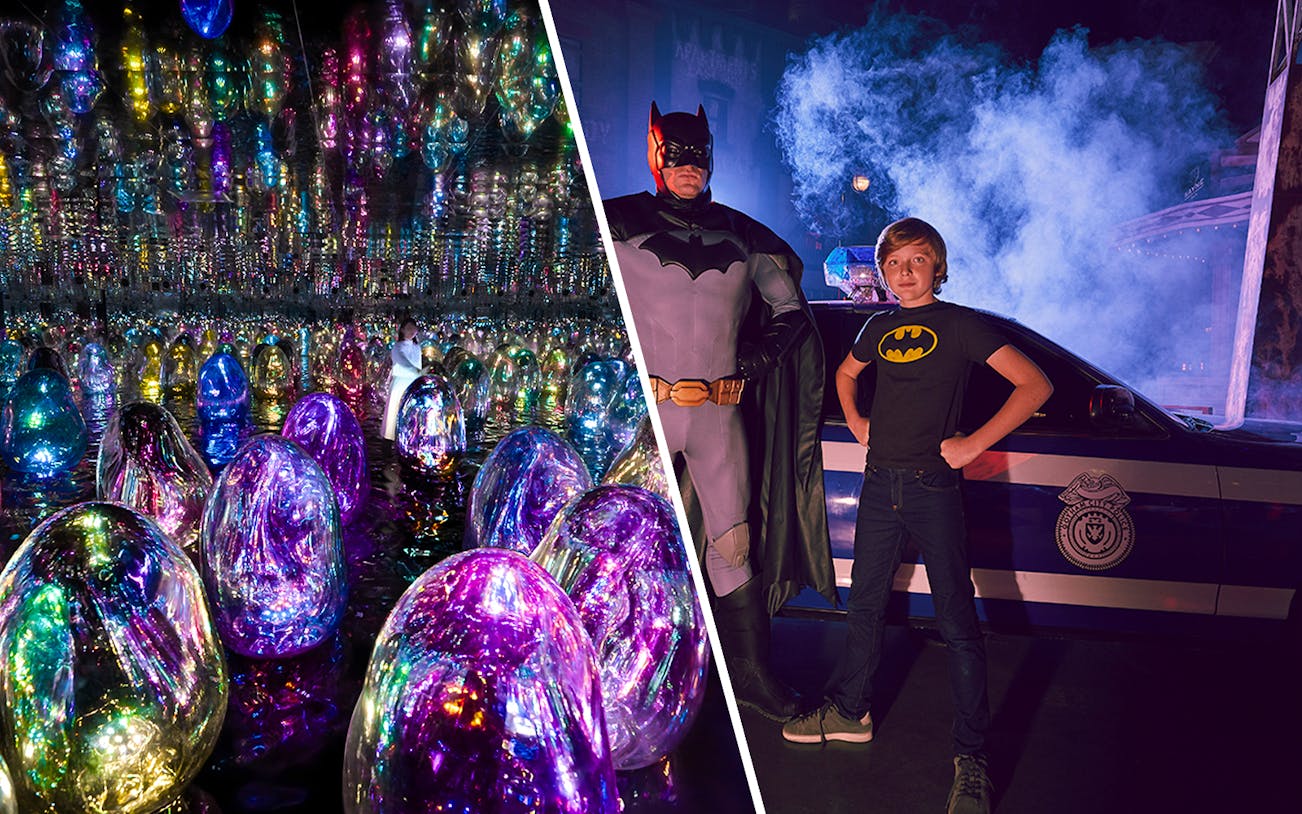 Teamlabs Abu Dhabi interactive exhibit with Warner Bros World tickets.