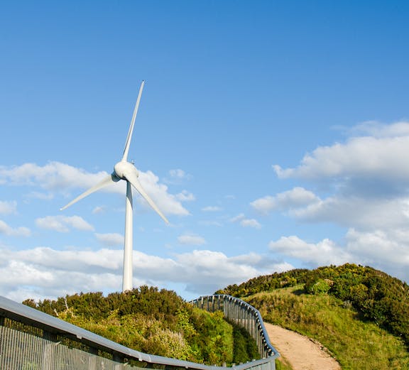 Wind turbine on a hilltop path at Mount Victoria, surrounded by greenery and blue sky.