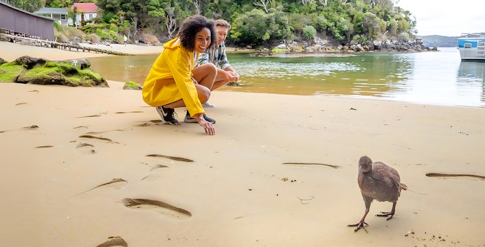 Couple looking at Kiwi bird from a distance at Stewart Island, New Zealand